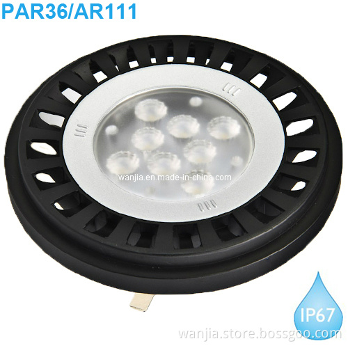 12V/24V PAR36 LED Light (PAR36 LED)